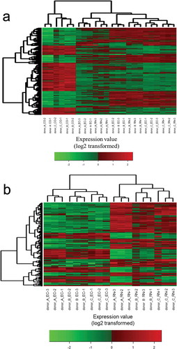 Figure 1. Microarray-based heat maps of differentially expressed gene probes in human PBMCs stimulated by untreated EC-12- or RNase A-treated EC-12. The heat map was produced by hierarchical clustering of the gene probe set data that met the following criteria: (a) ANOVA (medium vs untreated EC-12, RNase A-treated EC-12); P < 0.05, −4 ≤ fold change ≥ 4 and (b) t-test (untreated EC-12 vs RNase A-treated EC-12); P < 0.01, −4 ≤ fold change ≥ 4.