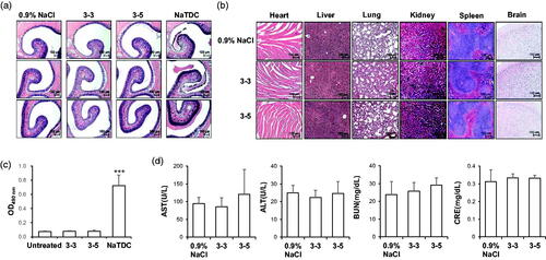 Figure 3. In vivo toxicity analysis of intranasal insulin + PTD formulations. (a–d) Normal mice were treated as indicated once a day for 10 d (n = 5). (a and b) Representative images of H&E staining of nasal cavity (a) and main organs (b). (c) OD490nm means LDH activity from nasal wash solution. 5% NaTDC was used as positive control known to be toxic. ***p < .001 by Student’s t-test compared to untreated group. (d) Serum level of biochemical variables following nasal administration once a day for 10 d. Data are presented as mean ± s.d.