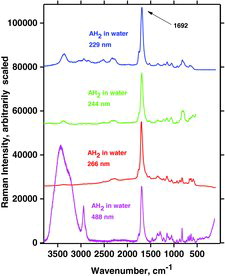 Figure 22. Experimental Raman spectra of ascorbic acid in aqueous solution versus excitation wavelength (pH = ∼2).