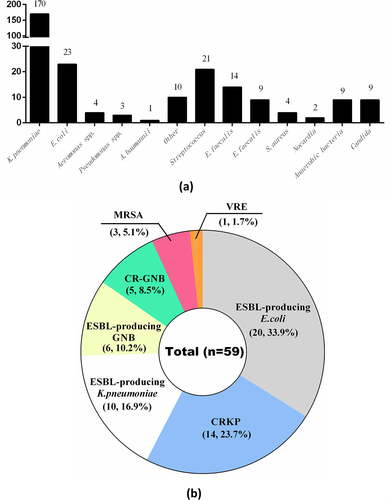 Figure 1. Causes of pyogenic liver abscess in the study patients (a). Distribution of multidrug-resistant organisms in patients with pyogenic liver abscess (b). CR, carbapenem-resistant; CRKP, carbapenem-resistant Klebsiella pneumoniae; ESBL, extended-spectrum beta-lactamase (producing); GNB, gram-negative bacteria; KP, Klebsiella pneumoniae; MRSA, methicillin-resistant Staphylococcus aureus; VRE, vancomycin-resistant enterococci.