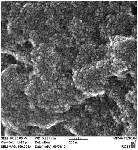 Figure 1 SEM Image of silica aerogel nanoparticles.