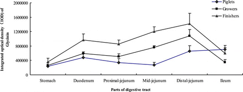 Figure 2. Distribution of glycinin in the different parts of gastrointestinal mucosa of piglets, growers and finishers.