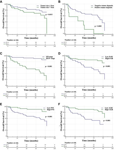 Figure 2 Kaplan-Meier survival curves of different variables in patients with colon cancer. (A) Tumor size; (B) Tumor deposits; (C) TNM stage; (D) Prealbumin (PAB); (E) Prognostic nutritional index (PNI); (F) Albumin and globulin ratio (AGR).Abbreviations: TNM stage, T, Tumor (Topography), N, Lymph Node, M, Metastasis.