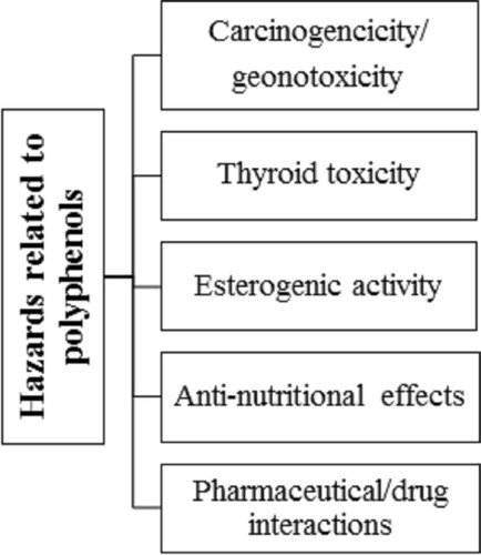 Figure 5 Hazards related to polyphenols.