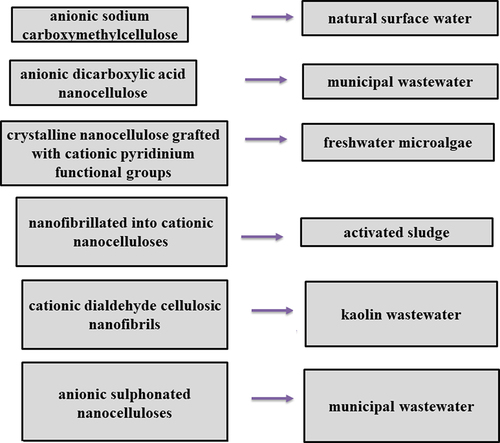Figure 4. Application of cellulose-based flocculants in wastewater treatment.