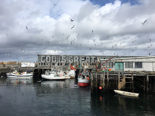 Fig. 2. Old fishery harbour Vardø