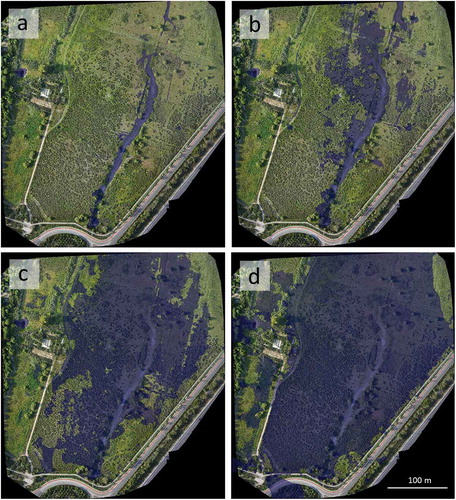 Figure 14. Flooded areas when the water level of the pond is 1.80, 1.90, 2.00 and 2.20 m from the mean sea level (general altimetric datum).