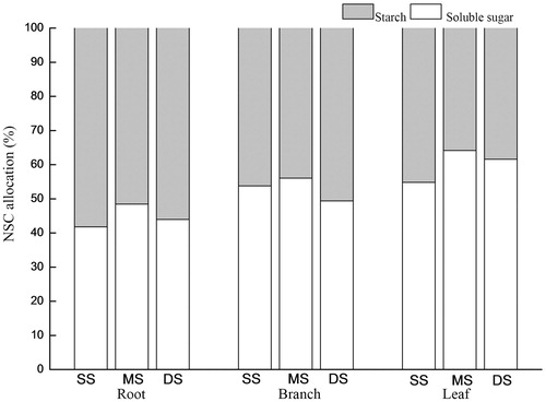 Figure 4. Percentages of soluble sugar and starch in the NSCs in the roots, branches and leaves of T. distichum under shallow submergence (SS), moderate submergence (MS) and deep submergence (DS). Note: Values are the mean ± standard error (n = 5); different lowercase letters represent significant differences among the submergence treatments.