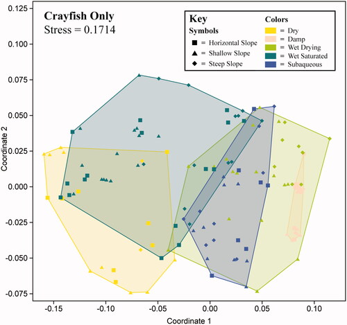 Figure 21. Non-metric multidimensional scaling (N-MDS) visualization for crayfish trackways grouped by five conditions (Overall N = 139; stress = 0.1714). For the variables used, see Table 3. Note how wet saturated (dark turquoise color) is in the left and center of the coordinate plane, and then moving to the bottom-right, transitions to wet drying (lighter green color) then damp (light peach color) as the sand conditions go from loose to stiff.