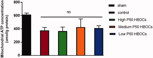 Figure 8. Mitochondria ATP concentration in each group. Data between five groups was compared by ANOVA (n = 3). The mitochondria ATP concentration in sham group was significantly higher than the other experimental groups, and there was no statistically significant difference between the four experimental groups.