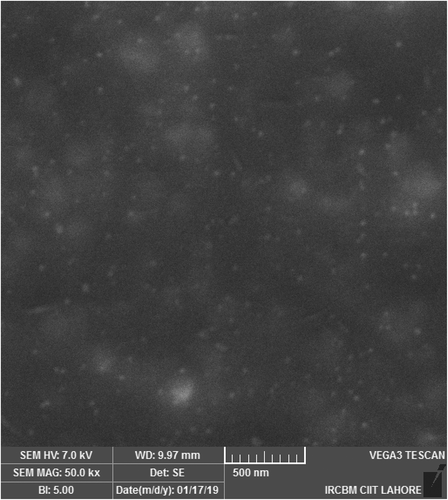 Figure 3b. SEM image of miconazole loaded nanoemulsions at 500 nm