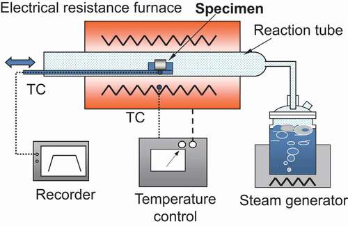 Figure 1. Schematic of the apparatus for the oxidation test.