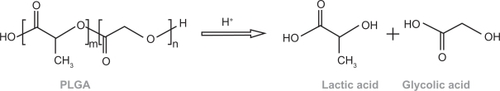 Figure 2 Degradation of polylactide-co-glycolide to lactic and glycolic acid.