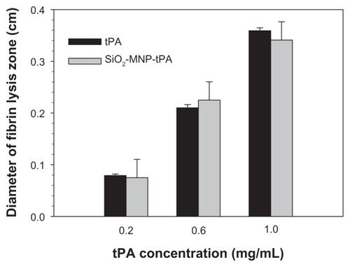 Figure 8 Fibrinolytic activities of tissue plasminogen activator (tPA) and tPA bound to silica-coated magnetic nanoparticles (SiO2-MNP-tPA) by fibrin clot lysis assays.