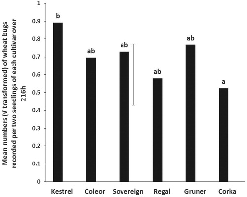 Figure 2. No-choice tests. Mean numbers (√ transformed) of adult wheat bugs recorded in each of six kale cultivars over 216 h. Means with no letters in common are significantly different (Unprotected LSD; P < 0.05). The vertical bar is the least significant difference, LSD (5%) (n = 10).