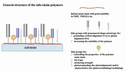 Figure 2. (Colour online) Schematic presentation of the general structure of a side-chains polymer, for liquid crystal alignment according to the nano-structured alignment materials concept [Citation14–16,Citation19], containing side-chain groups with different functionality.