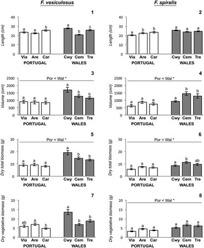 Figs 1–8. Fucus morphology across different shores at Portugal and Wales. Fig. 1. Fucus vesiculosus length. Fig. 2. Fucus spiralis length. Fig. 3. Fucus vesiculosus volume. Fig. 4. Fucus spiralis volume. Fig. 5. Fucus vesiculosus dry total biomass. Fig. 6. Fucus spiralis dry total biomass. Fig. 7. Fucus vesiculosus dry vegetative biomass. Fig. 8. Fucus spiralis dry vegetative biomass. Error bars = ±1SE; Only post hoc SNK tests of significant differences are presented; different lower case letters indicate significant differences of fucoid responses variables on populations from different shores within the same geographic regions, while line over bars indicate significant differences of fucoid responses variables between geographic regions; symbols *(P < 0.05) and **(P < 0.01) indicate levels of significant difference. Abbreviations used – Por: Portugal; Wal: Wales; Via: Viana do Castelo; Are: Areosa; Car: Carreço; Cwy: Porth Cwyfan; Cem: Cemlyn Bay; Tre: Trearddur Bay.