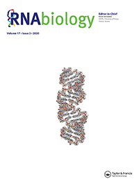 Cover image for RNA Biology, Volume 17, Issue 3, 2020