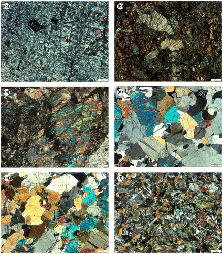 Figure 6. Thin-section views of the ophiolitic rocks in the study area. (a) Serpentinite, (b) harzburgite, (c) pyroxenite dyke, (d) gabbro, (e) olivine gabbro and (f) diabase dyke.