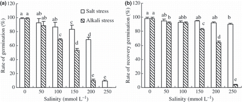 Figure 7 Effects of salt and alkali stresses on (a) the rate of germination and (b) the recovery germination of wheat. Salt stress: NaCl : Na2SO4 = 1:1, pH 6.66–7.01; alkali stress: NaHCO3 : Na2CO3 = 1:1, pH 9.83–10.03. The values are the means of five replicates. Means followed by different letters in the same column are significantly different at P ≤ 0.05 according to least significant difference test.