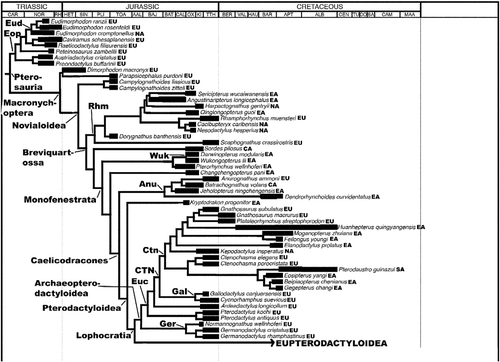 Figure 1 The pterosaur relationships and stratigraphical/geographical ranges used in the ‘all taxa’ Treefitter data-set. This tree is based on the cladogram presented by Andres et al. (Citation2014) and shows the more basal portion in detail (Eupterodactyloidea has been condensed to a single branch – see Figure 2). The thick branches represent known stratigraphical ranges (based on data in The Paleobiology Database); thin branches represent estimated ghost ranges and connectors used to demarcate phylogenetic relationships. Time-sliced data-sets were derived from this tree by appropriate inclusion/exclusion of taxa. Most stratigraphical stage and taxon abbreviations are listed in the legend of Table 1. Additional abbreviations: CA, Central Asia; CO, Coniacian; EA, East Asia; Eop, Eopterosauria; EU, Europe; Euc, Euctenochasmatia; KI, Kimmeridgian; NA, North America; OX, Oxfordian; RH, Rhaetian; SA (after taxon name), South America; SA (time scale), Santonian; TU, Turonian.