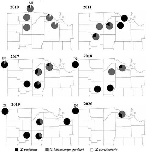 Fig. 3 Xanthomonas species distribution (percent) in processing tomatoes in Ohio, Indiana and Michigan, 2010–2020. Data for years 2012 and 2013 are not reported in the figure because of their small sample size, and no sampling was done in 2014–2016.