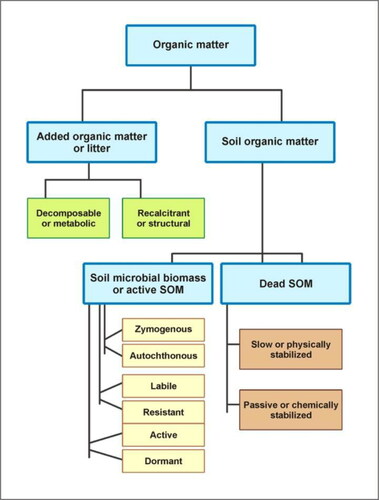 Figure 11. Schematic representation of organic matter partitioning into conceptual pools (reconstructed from [Citation124]).