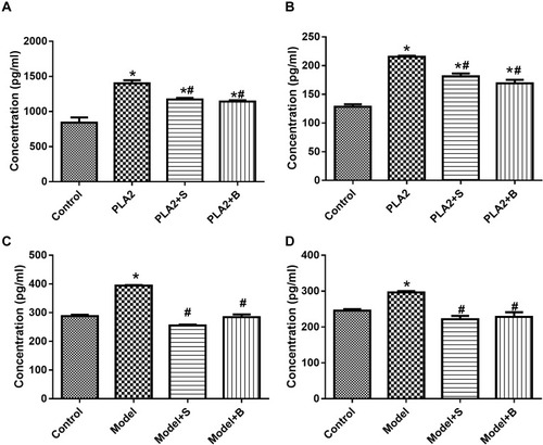 Figure 3 Snake-derived PLI reduced PAF and TNF-α levels in PLA 2-treated cells and AP mice model. (A, B) The level of PAF and TNF-α in the pancreatic acinar cells; (C, D) The level of PAF and TNF-α in vivo. Data were expressed as mean and standard deviation. N=6 in each group (Bonferroni test). *P<0.05: compared with the control group; #P<0.05: compared with the model group.