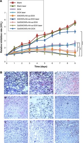 Figure 11 In vivo antitumor efficacy assay.Notes: (A) Tumor volumes of tumor-bearing mice as a function of time. Data were given as mean (n=6). (B) Tissue sections of tumor excised from the mice 7 days after administration of a) saline, b) saline + laser, c) DOX, d) DOX + laser, e) SWCNTs-HA-ss-DOX, f) SWCNTs-HA-ss-DOX + laser, g) Gd/SWCNTs-HA-ss-DOX, h) Gd/SWCNTs-HA-ss-DOX + laser, and i) Gd/SWCNTs-HA-DOX. *P<0.05; **P<0.01; ***P<0.001.Abbreviations: DOX, doxorubicin; Gd, gadolinium; HA, hyaluronic acid; SWCNTs, single-walled carbon nanotubes.