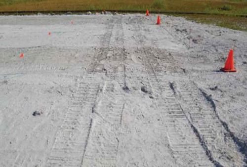 Figure 6. The tracks caused by the physical disturbance of the research plots with a Caterpillar 257B3 skid steer loader, August 2, 2016.