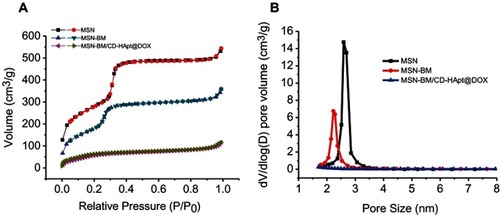 Figure 3 Brunauer–Emmett–Teller nitrogen adsorption/desorption isotherms (A) and Barrett–Joyner–Halenda pore size distributions (B) for MSN, MSN-BM and MSN-BM/CD-HApt@DOX.Abbreviations: MSN, mesoporous silica nanoparticles; BM, benzimidazole; CD, β-cyclodextrin; HApt, aptamer; DOX, doxorubicin.
