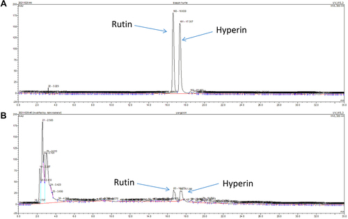 Figure 1 High-performance liquid chromatography of WSS. (A) High-performance liquid chromatography rutin and hyperin (Reference substances). (B) High-performance liquid chromatography of WSS.
