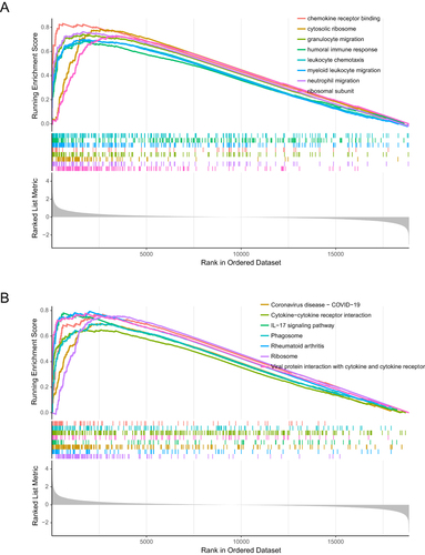 Figure 3 GSEA analysis of ICH and control groups reveal the potential mechanism involved in ICH. The top 8 gene ontologies (A) and KEGG pathways (B) based on the normalized enrichment score (NES) between ICH and control groups. GSEA, gene set enrichment analysis.