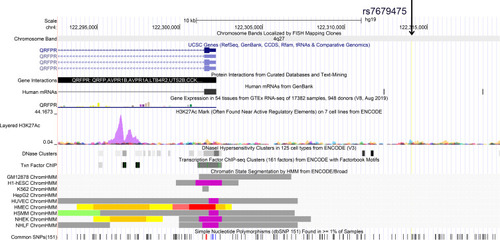 Figure 2 Evidence from UCSC data for regulatory function of rs7679475. The plot is presented on chromosome 4q27 (NCBI GRCh37). Tracks (from top to bottom) in the picture are genome base position, chromosome bands, UCSC genes, protein interactions from curated databases and text-mining, human mRNAs from GenBank, gene expression, H3K27Ac Mark, DNaseI Hypersensitivity Clusters, ENCODE transcription factor ChIP-seq clusters, ENCODE chromatin state segmentation by HMM, and simple nucleotide polymorphisms (dbSNP 151).