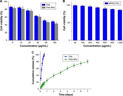 Figure 2 Cytotoxicity studies on A549 cells after different treatments and in vitro drug release of THA-NPs and free THA.Notes: (A) In vitro cell viability of free THA and THA-NPs in A549 cells after 24 h of incubation; (B) in vitro cell viability of blank MPEG-PCL NPs in A549 cells after 24 h of incubation; (C) in vitro drug release behavior of THA-NPs and free THA. Data presented as mean ± SD (n = 3) (*P<0.05).Abbreviations: THA-NPs, nanoparticles loaded with thalidomide; MPEG-PCL, methoxy poly(ethylene glycol)-poly(ε-caprolactone).