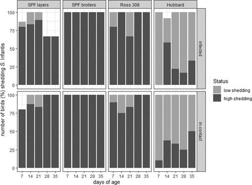 Figure 2. Shedding of S. Infantis in four different chicken lines separating directly infected (n = 15 birds per line) from in-contact birds (n = 10 bird per line).