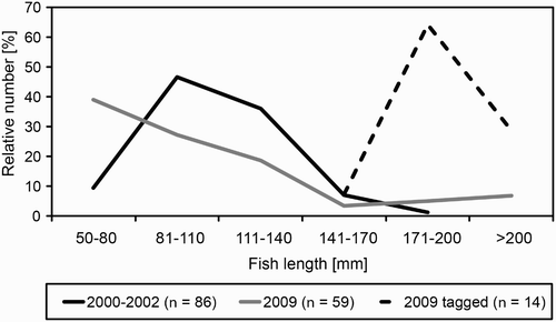 Figure 2. Body length classes of fish (all species combined) found in the colony of Grey Herons Ardea cinerea in Mosty in 2000–02 and 2008–09 (undigested regurgitated) and 2009 (Sea Trout tagged in 2009; length measured when they were tagged).