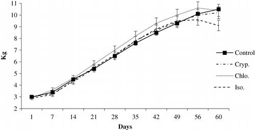 Figure 1. Goat kids growth curves from birth to day 60 of life.