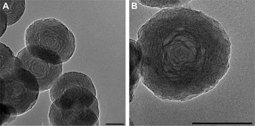 Figure 1 TEM images of BNNS (A) and PAH-cit–BNNS (B) complexes (bars =100 nm).Abbreviations: BNNS, boron nitride nanospheres; PAH-cit, poly(allylamine hydrochlorid)-citraconic anhydride; TEM, transmission electron microscopy.