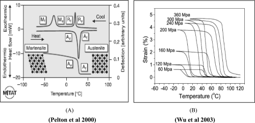 Figure 1 A graphical representation of NiTi material properties. The thermal shape memory effect (A) involves the transformation from the austensitic to martensitic phase and vice versa. Permanent deformation is achieved in the martensite phase and below the As transformation temperature. The strain-temperature relation (B) suggests that strain can be achieved as temperature is decreased and this strain is retained if the temperature is kept below As.