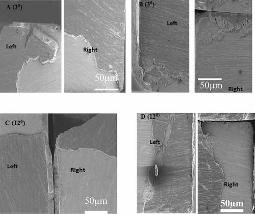 Figure 5. SEM Images of Fractured Brazil Disc Specimenat ψ = 3° for Epoxy (a) and Epoxy/Clay Composite (b) and at ψ = 12° for Epoxy (C) and Epoxy/Clay Composite (d)