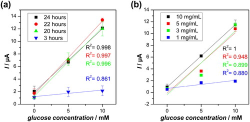 Figure 5. Effect of GOx (a) incubation time and (b) concentration on the biosensor chronoamperometry (E = +0.77 V vs Ag/AgCl) steady-state response for glucose in 0.1 M PB(aq) pH 7.