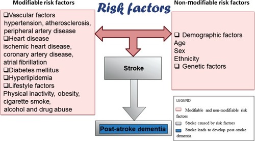 Figure 1 Risk factors and dementia.