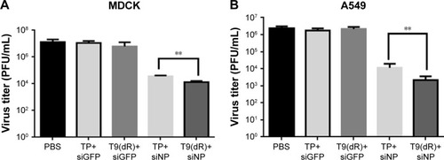 Figure 5 T9(dR) delivered functional siRNA into (A) MDCK and (B) A549 cell lines. MDCK and A549 cells were treated with siNP and infected with influenza virus of MOI =0.01. At 24 hours post-infection, viral titers in supernatant were titrated by standard plaque assay. **P-values <0.05 were considered to be significant.