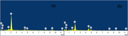 Figure 5. EDX analysis of fresh (a) and six times recycled Ti/TiO2-CNT-Pt (b)