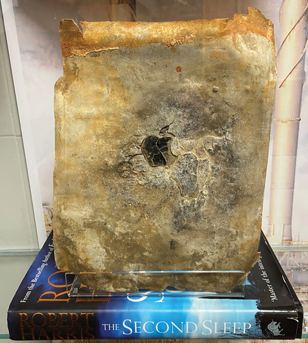 Figure 5. Exhibit 8, Archaeological remains of an iPad temporary exhibition at UCL Institute of Archaeology and Slade School of Fine Art, January–September 2022; ‘Objects of the Misanthropocene: a time-travelling exhibition from the Illegal museum of Beyond’ (https://www.illegalmuseumofbeyond.co.uk/ioa-slade-exhibition) (Sully et al. Citation2020).