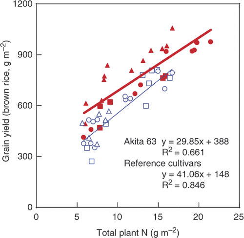 Figure 4. Relationship between grain yield (brown rice) and total plant nitrogen (N) content per unit land area at harvest in Akita 63 and the reference cultivars, Yukigeshou, Toyonishiki and Akitakomachi. (Mae et al. Citation2006, with permission from Elsevier) Symbols are the same as those in Fig. 1.
