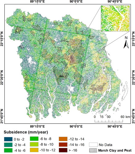 Figure 10. The rate of land subsidence along with the coverage of marsh clay and peat. The black cross lines indicate the marsh clay and peat layer.