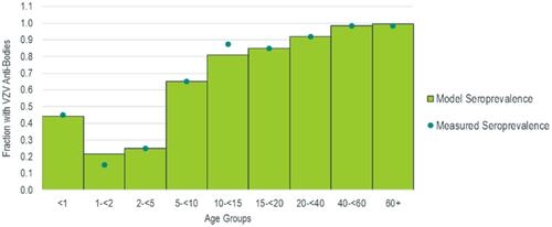 Figure 1 Pre-vaccine seroprevalence calibration based on data collected in Italy (2013–2014, data from Citation61).Abbreviation: VZV, varicella zoster virus.