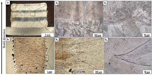 Figure 4. (a) Stereoscope image of the vertical bimetallic specimen showing the distinct regions of SS316L (bright zones) and the 17–4 PH (dark zone), (a1, a2) low and high magnification images showing the smooth transition from SS316L to 174 PH, (b) the unique wedge-shaped interlocking microstructure of the radial bimetallic with SS316L core and 17–4 PH casing, (b1, b2) low and high magnification images showing the interlocking pattern of radial bimetallic.